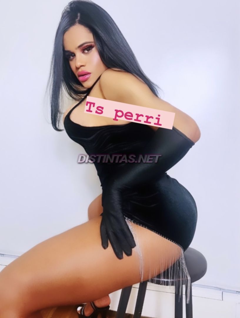 Perri Dominican
