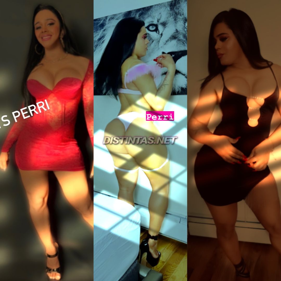 Perri Dominican