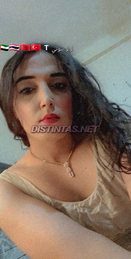 Lolo Transexuel