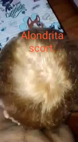 Alondra Gazzollo
