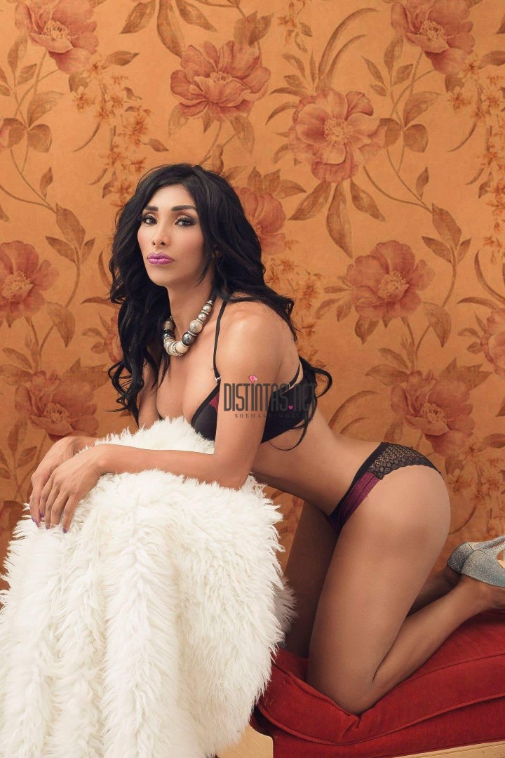 Sherezada