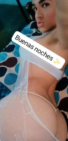 Paola navarro