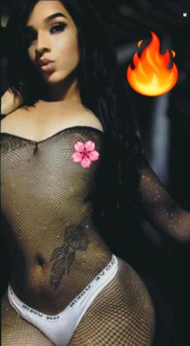 Paola navarro