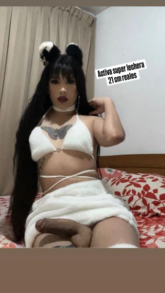 HOLA SOY   Georgette Kalil servicio de lujo 100% NATURAL, TENGO POQUITAS TETITAS PERO LO COMPENSO CON  MIS 20 CM DE AMOR, SOY MUY FEMENINA, CALIENTE, JUGUETONA,CUERPO FITNESS, MORBOSA,  SUPER ACTIVA FULL LECHERA CON MUY BUENA ERECCION VEN TRAGATE MI LECHE  ADICTA 
A TODOS TU VISIOS ❄ CON DEPARTAMENTO DISCRETO CUENTO CON PARQUEADERA SOLO LLAMAME ESTOY DISPONIBLE LAS 24 HORAS                                                   


HELLO I AM Georgette Kalil, I am 20 YEARS OLD, 100% NATURAL, I HAVE FEW TITS BUT I COMPRESENT IT WITH MY 20 CM OF LOVE, I AM VERY FEMALE, HOT, PLAYFUL, FITNESS BODY, MORBO, SUPER DAIRY ACTIVE WITH VERY GOOD ERECTION ADDICT TO YOUR VISIONS ❄ COME SWALLOW MY MILK WITHOUT A DOUBT I AM YOUR BEST OPTION WITH A DISCREET APARTMENT I HAVE PARKING JUST CALL ME I AM AVAILABLE 24 HOURS