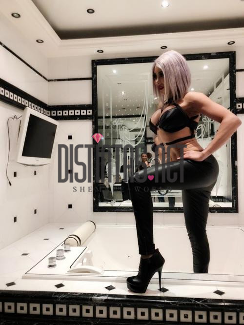 Delice 24cm