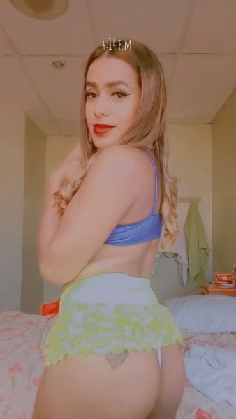 Hey Mis Papasitos 🔥Tu Hermosa Mulata
Llego Por Esta Por Esta Bella Cuidad..
🥵Recuerda No Te Quedes Con Las
Ganas ...❤

Soy La ❣Misma De La Foto La Que Te Va Tender Muy Bien Donde Vas A Repetir ✨🔥😍 Soy Una Chica Trans Hermosa Femenina Real Y Jugetona , Cuerpaso, Educada Y Respetuosa🔥😈

Ven Y Bamos A Jugar Mi Amor A Pasarla Rico ..😋😍

Soy Pasiva ,Con Buen Higiene ,Educada
Sencilla Y Bien Femenina...🔥💯

En Mi Servicio Esta🤭😍
*Oral Natural
*Solo Pasiva
*trato de pareja
*Masaje
*penetracion
*masaje Erotico
*Beso Negro ❤️
*Garganta Profunda 😋

🥵BAMOS MI AMOR NO TE VAS 😋ARREPEMTIR ESCRIBEME😘 O LLAMAME , Y TENDRE EL ❣GUSTO DE🌼 ESCUCHARME TENERME
NOS BAMOS A DIVERTIR 🔥