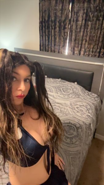 Escorts Trans Analia Rousey in Tampa
