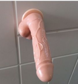 Karol Sexy Trans