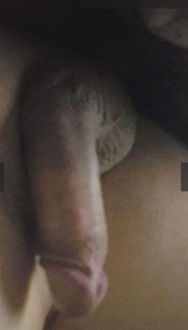 Karol Sexy Trans
